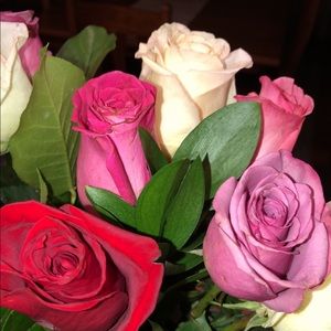 Meet your Posher, Evelyn